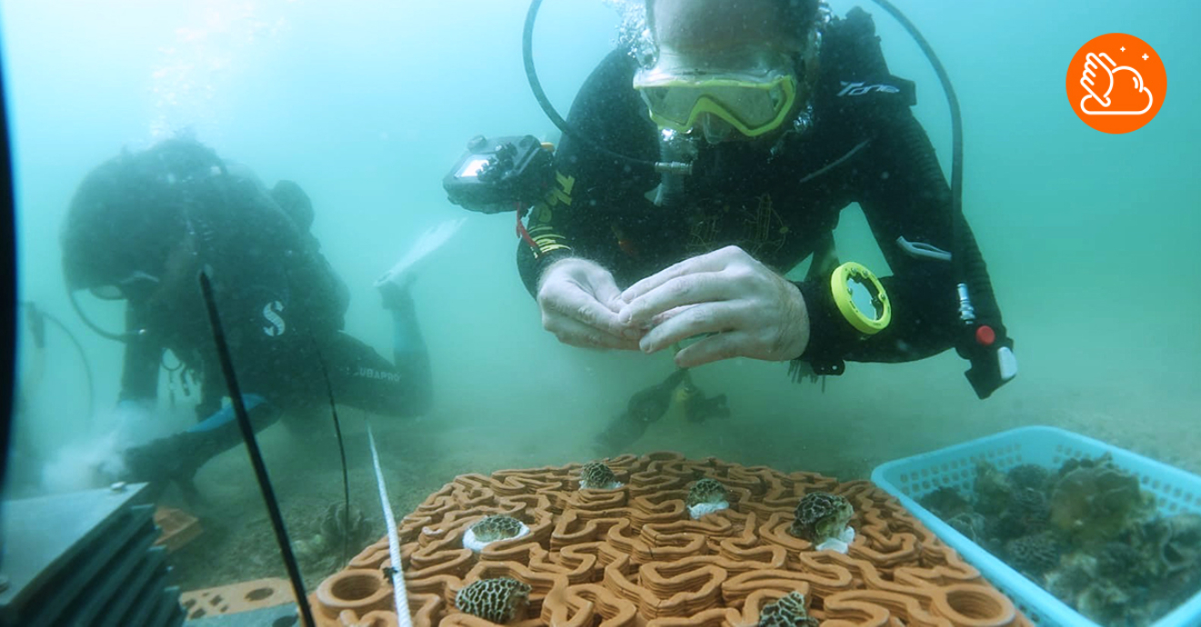 Hong Kong Startup Creating 3D-printed Reef Structure to Conserve Ocean