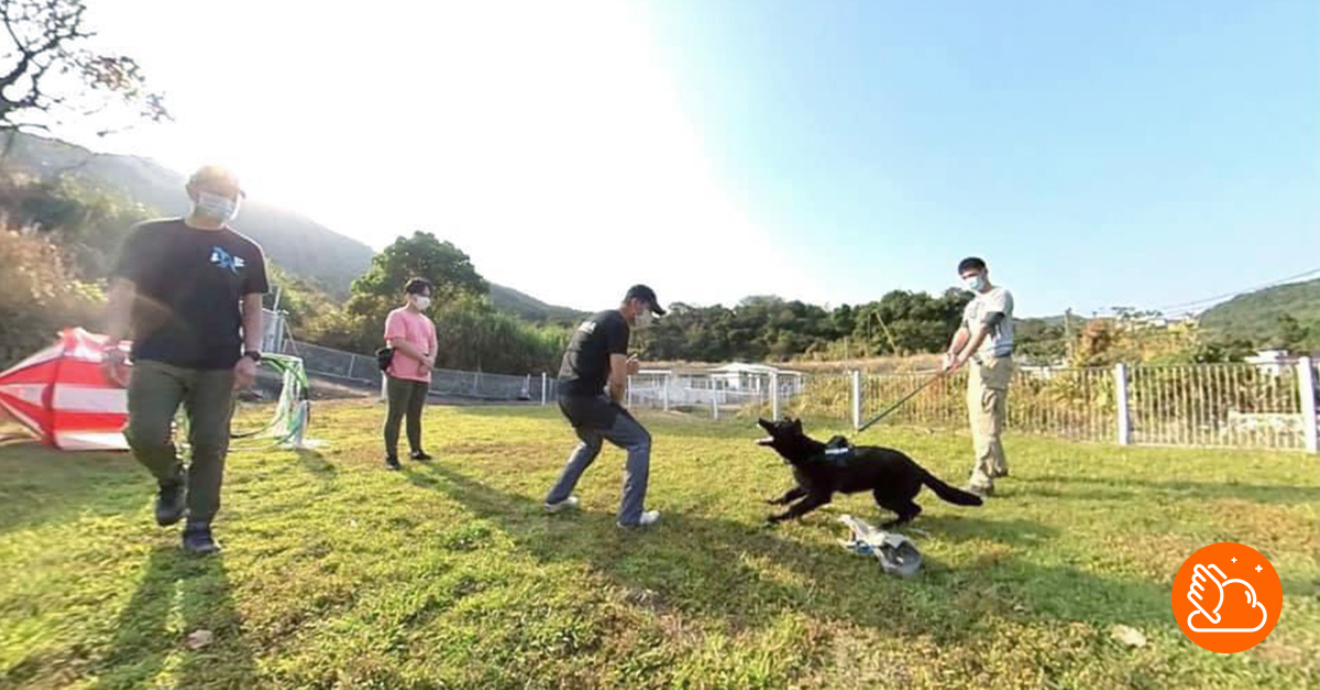 飛雲雜誌- talent.gov.hk - 一站式人力資源資訊平台