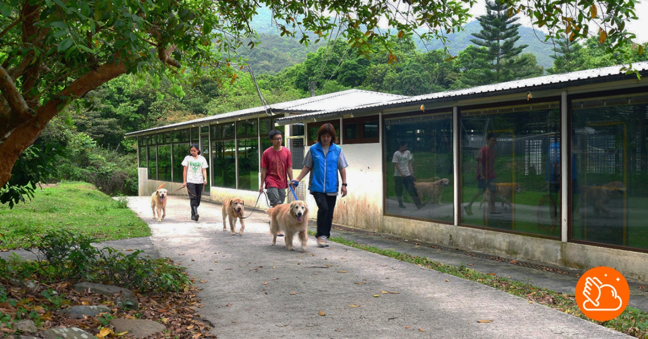 飛雲雜誌- talent.gov.hk - 一站式人力資源資訊平台